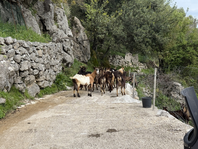 Placevi na Suscepanu po 50 e po m2